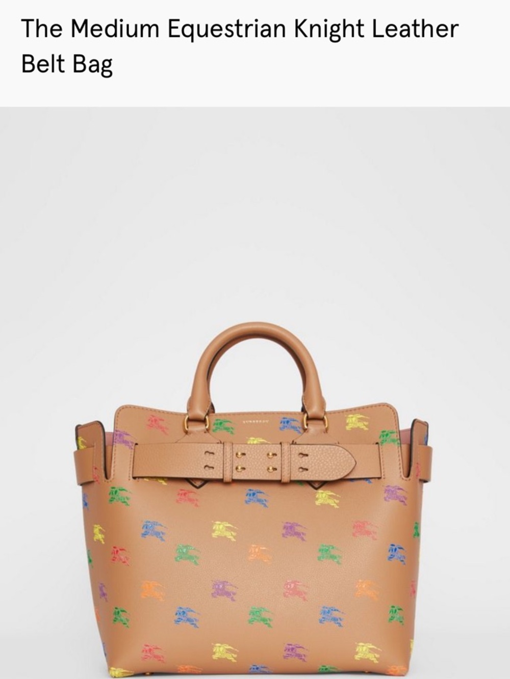 Burberry Tan Leather Tote with Multicolor Equestrian Motif - Picture 10 of 10